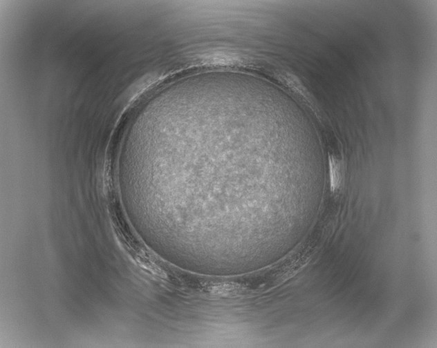 X0000059090579200510101147