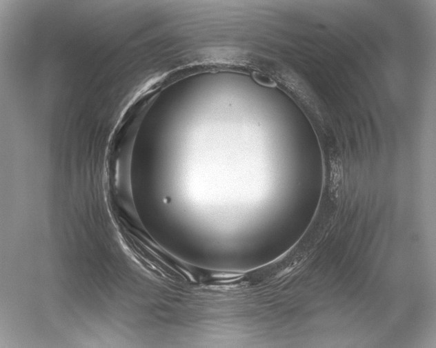 X0000059090580200510101147