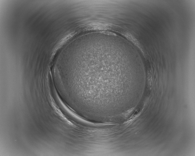 X0000059090581200510101147