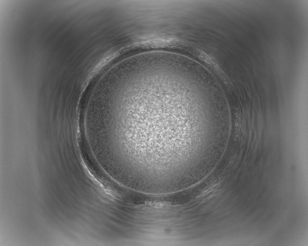 X0000059090582200510101147