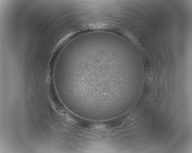 X0000059090583200510101147