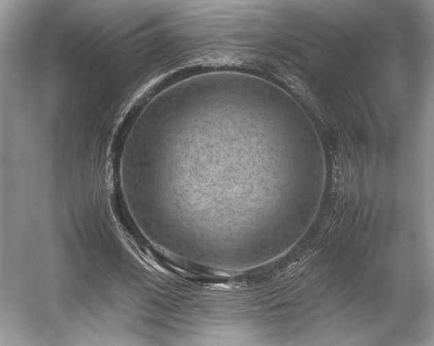 X0000059090584200510101147