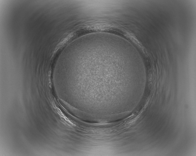 X0000059090585200510101146