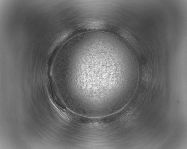 X0000059090586200510101146