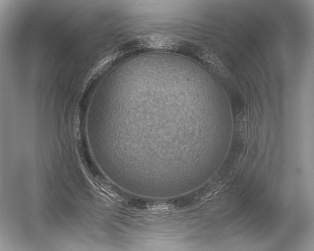 X0000059090587200510101146