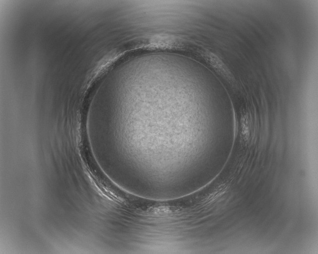 X0000059090588200510101146