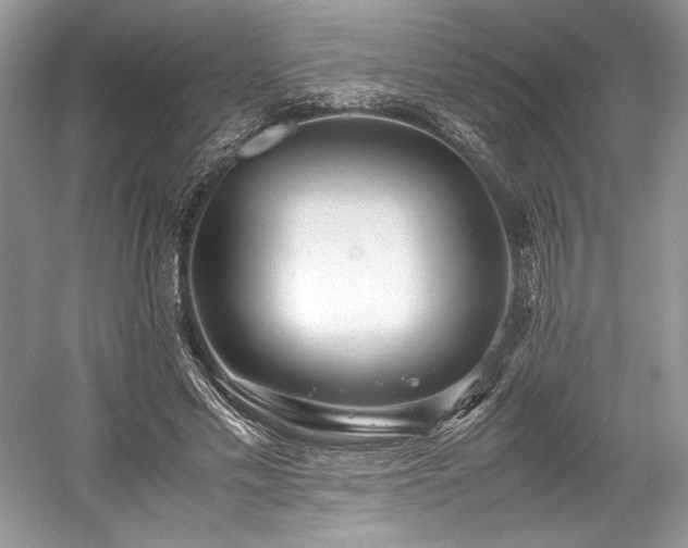 X0000059090589200510101146