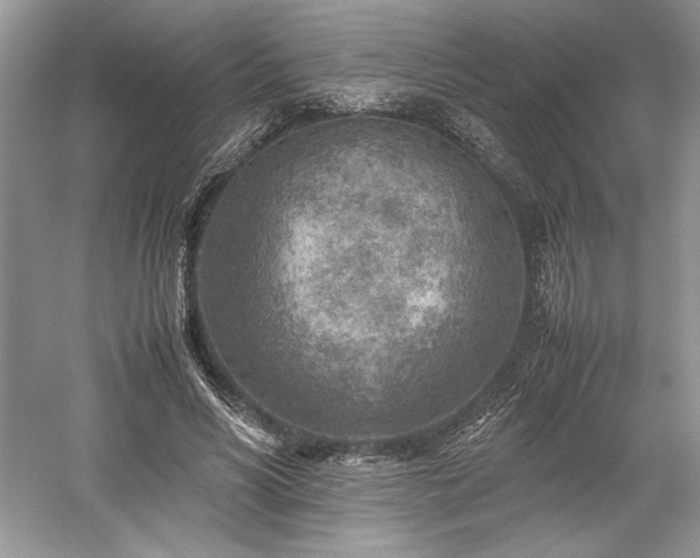 X0000059090590200510101146