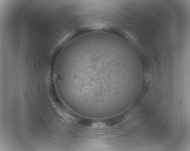 X0000059090591200510101146