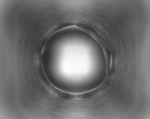 X0000059090593200510101146