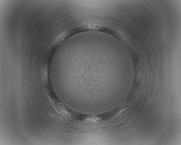 X0000059090595200510101146