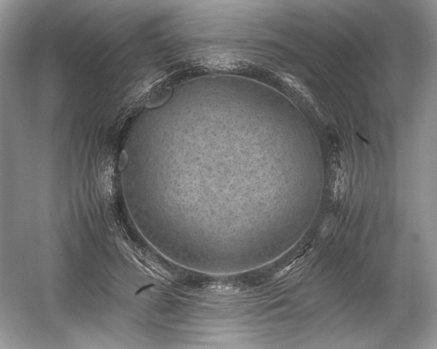 X0000059090596200510101146