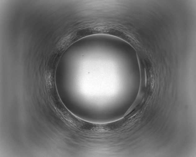 X0000059090597200510101146