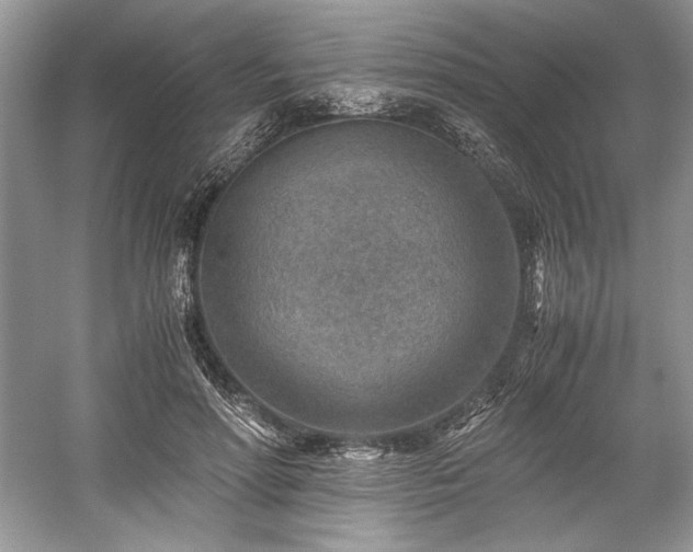 X0000059090598200510101146