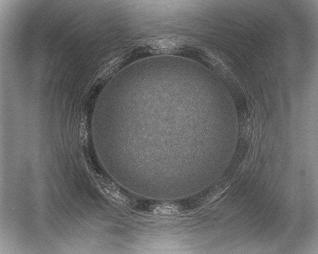 X0000059090599200510101146