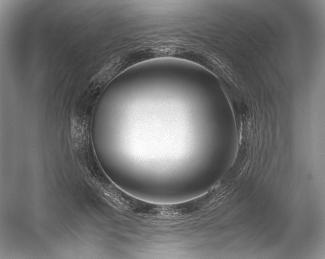 X0000059090601200510101146