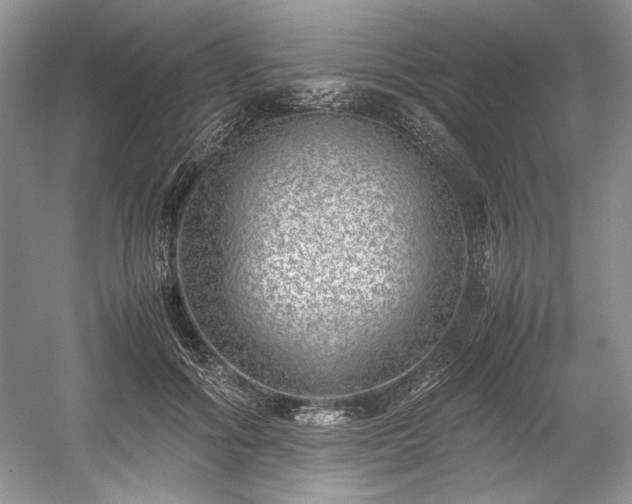 X0000059090602200510101146