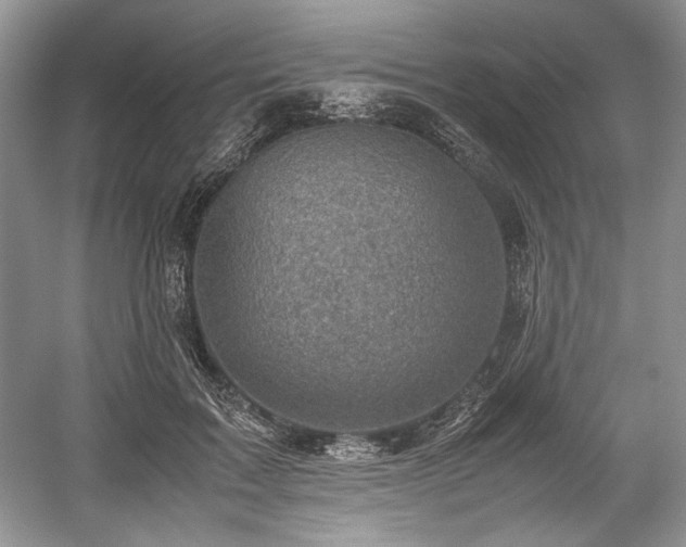 X0000059090603200510101146