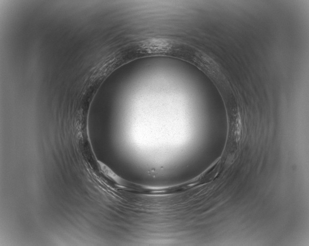 X0000059090604200510101146