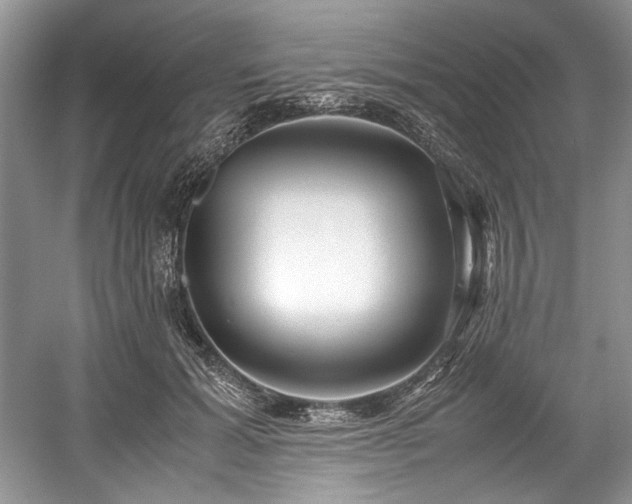 X0000059090605200510101146