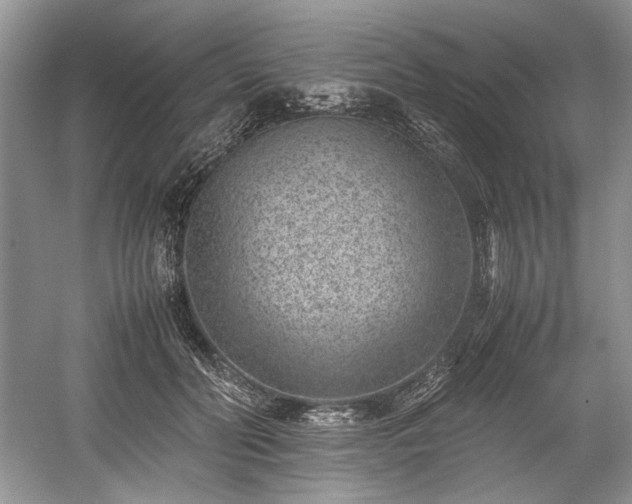 X0000059090606200510101146