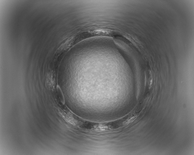 X0000059090607200510101146