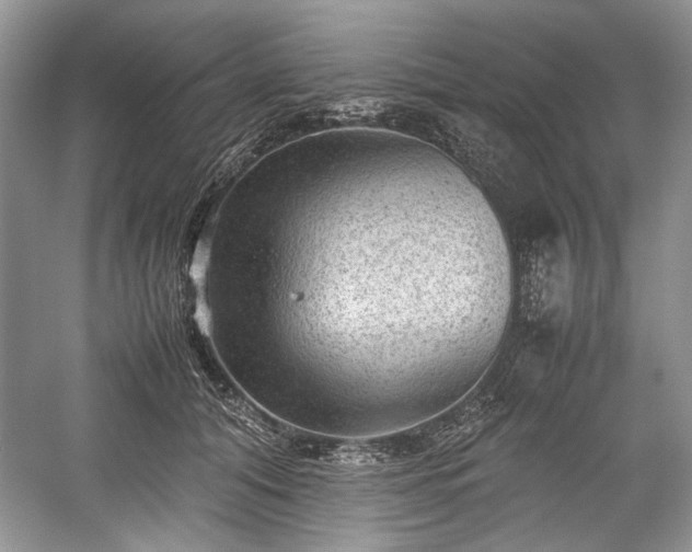 X0000059090608200510101146