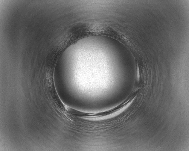 X0000059090609200510101146