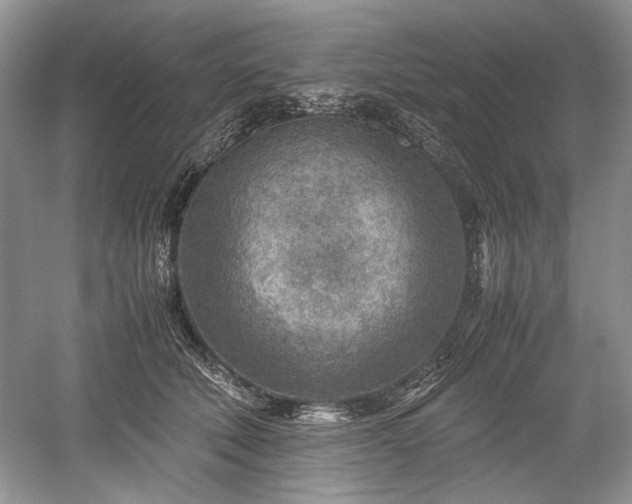 X0000059090610200510101146