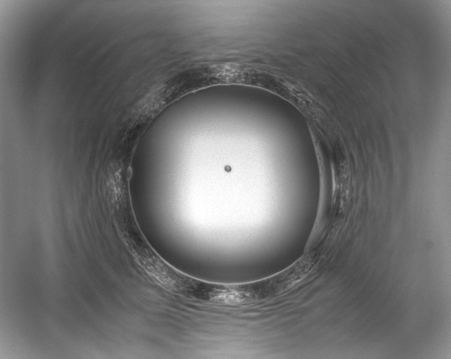 X0000059090611200510101146