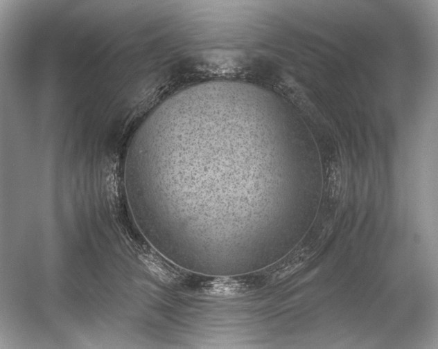 X0000059090612200510101146