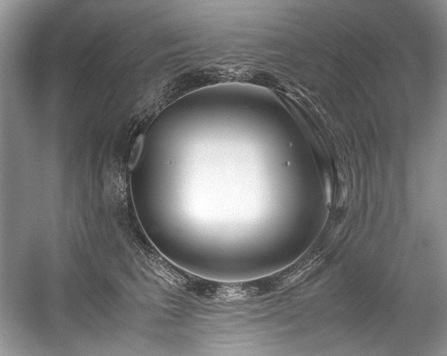 X0000059090613200510101146