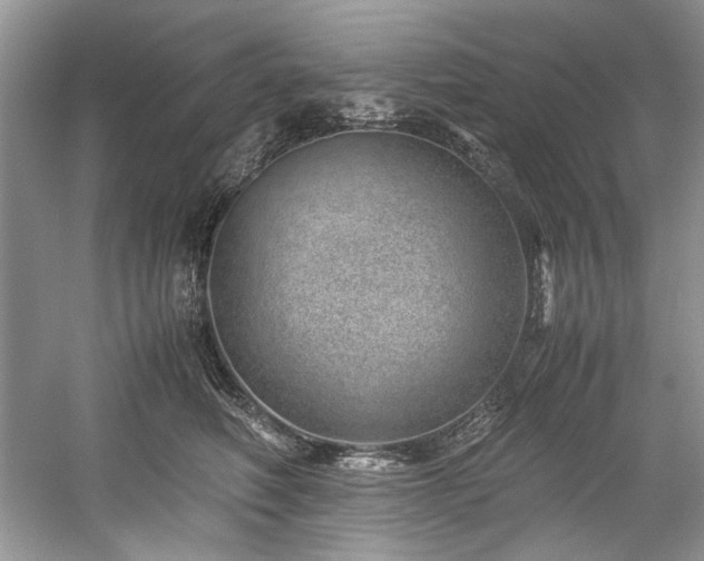 X0000059090614200510101146