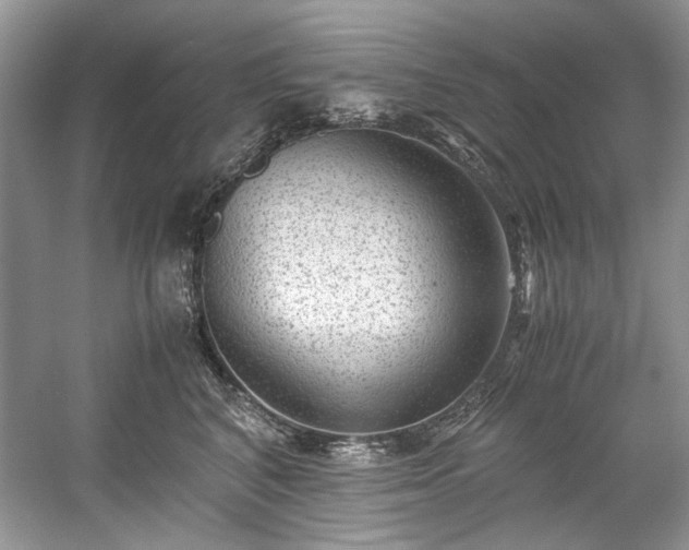 X0000059090616200510101146