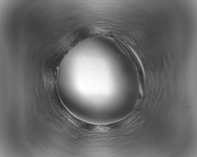 X0000059090617200510101146