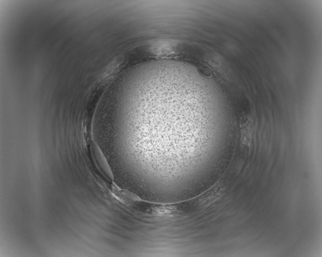 X0000059090618200510101146