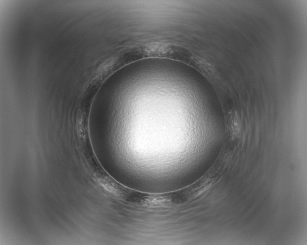 X0000059090619200510101146