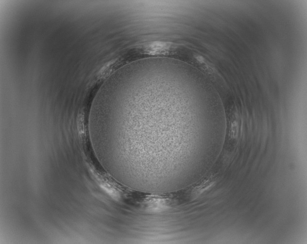 X0000059090620200510101146