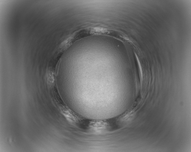 X0000059090621200510101146