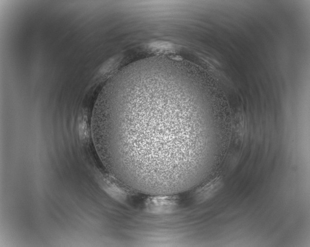 X0000059090622200510101146