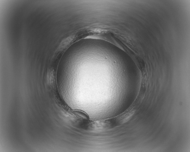 X0000059090623200510101146