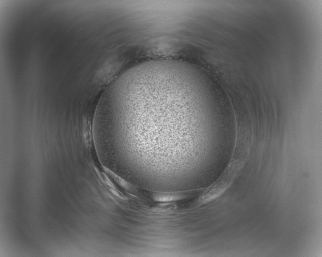 X0000059090624200510101146