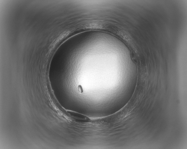 X0000059090625200510101145