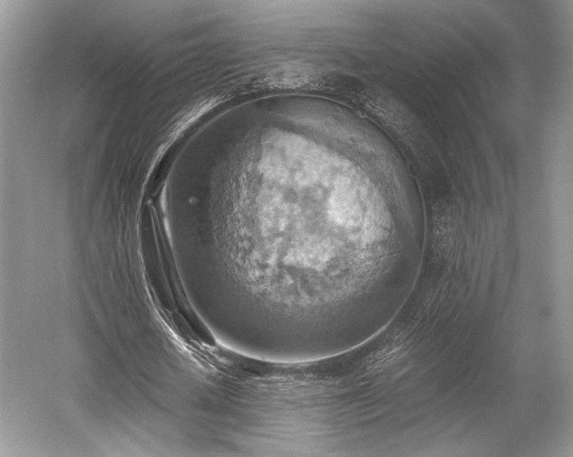 X0000059090626200510101145