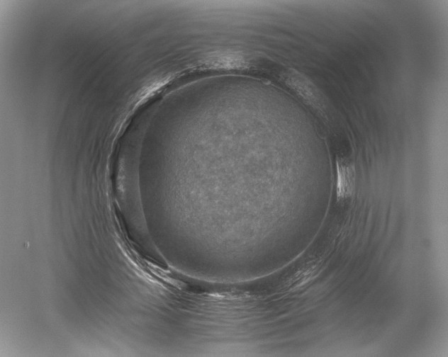 X0000059090627200510101145