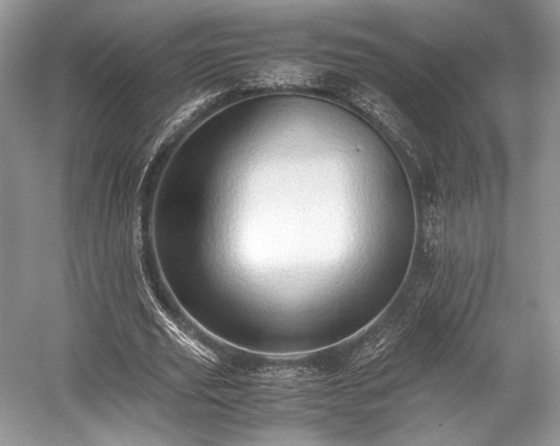 X0000059090629200510101145