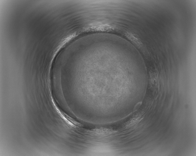 X0000059090630200510101145