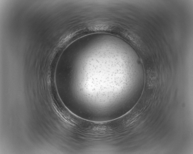 X0000059090631200510101145