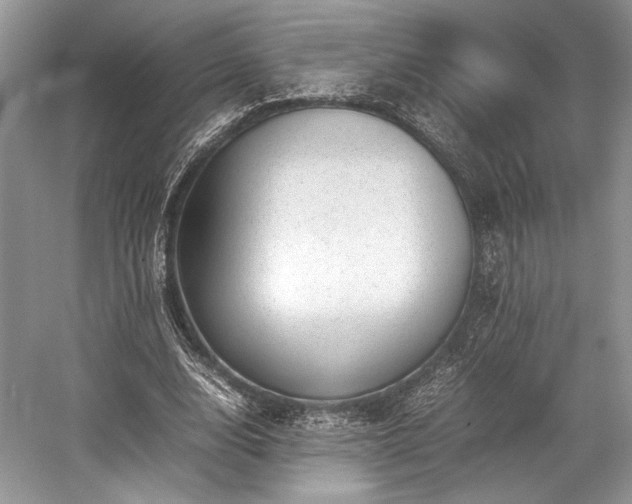 X0000059090632200510101145