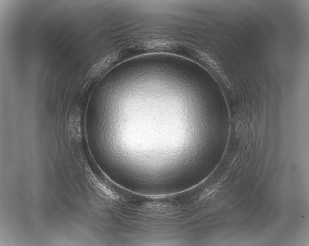 X0000059090633200510101145